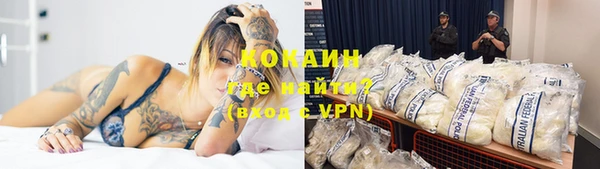сатива Переславль-Залесский