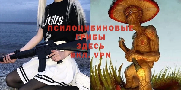 винт Абинск