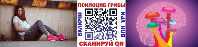 где продают Сафоново shop наркотические препараты Галлюциногенные грибы прущие грибы