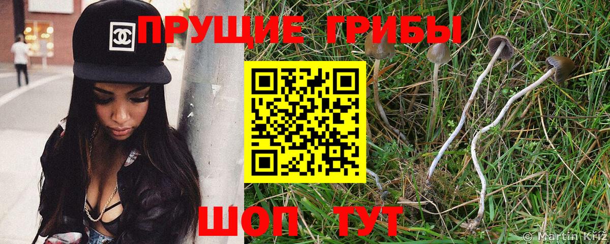 Галлюциногенные грибы мицелий  Вход с VPN  Сафоново 
